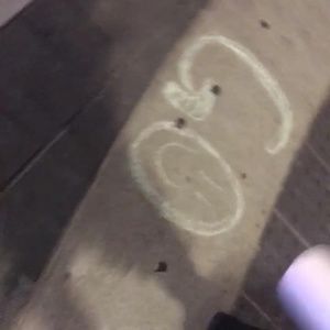 Meet your Posher, Tayler